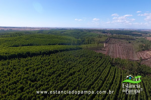 ALTO 360.00_03_42_01.Quadro010_73f1f5c599ba8deb58ca03ae82f09512c2317603.jpg